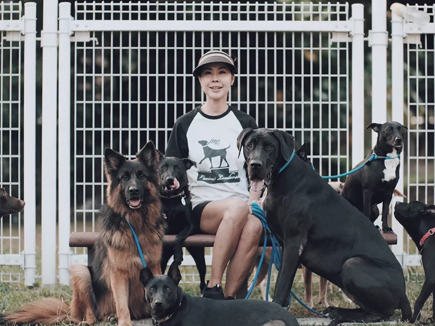 台灣瑪莉愛狗協會