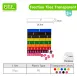 Fraction Tiles Math Toys Enhancing Math Skills through Interactive Play
