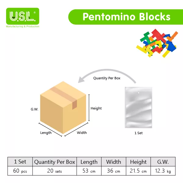 Pentomino Blocks Math Toys Shape Puzzles