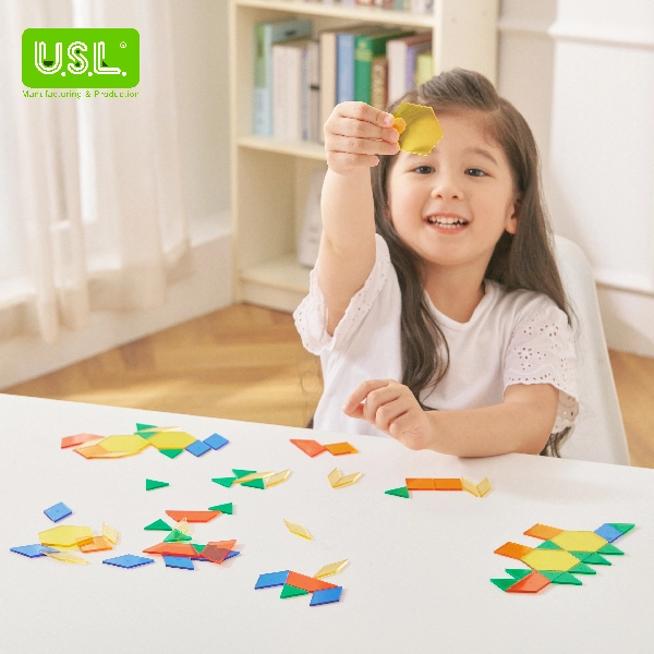 Pattern Blocks Shape Puzzles Math Toys for Creativity Counting and Sorting Skills